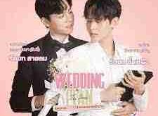 Wedding Plan (2023)