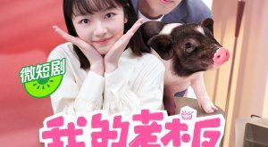 My Piggy Boss (2024) is a Chinese drama